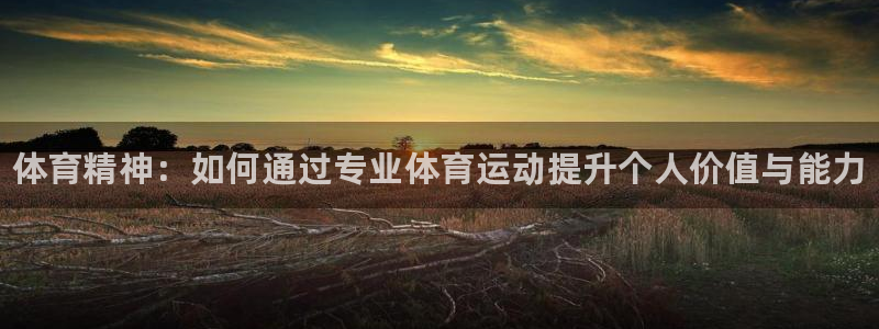 MK体育官网下载软件:体育精神:如何通过专业体育运动提升个人