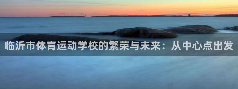 MK体育官网下载:临沂市体育运动学校的繁荣与未来:从中心点出